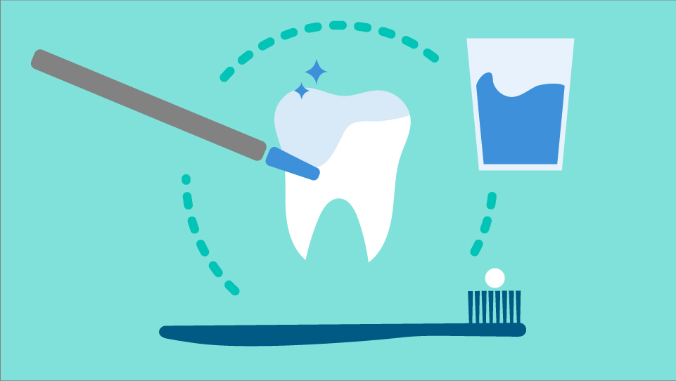 illustrated fluoride graphic with a tooth, toothbrush, and glass of water for preventive dental care at St. Louis Dental West in Kirkwood, MO